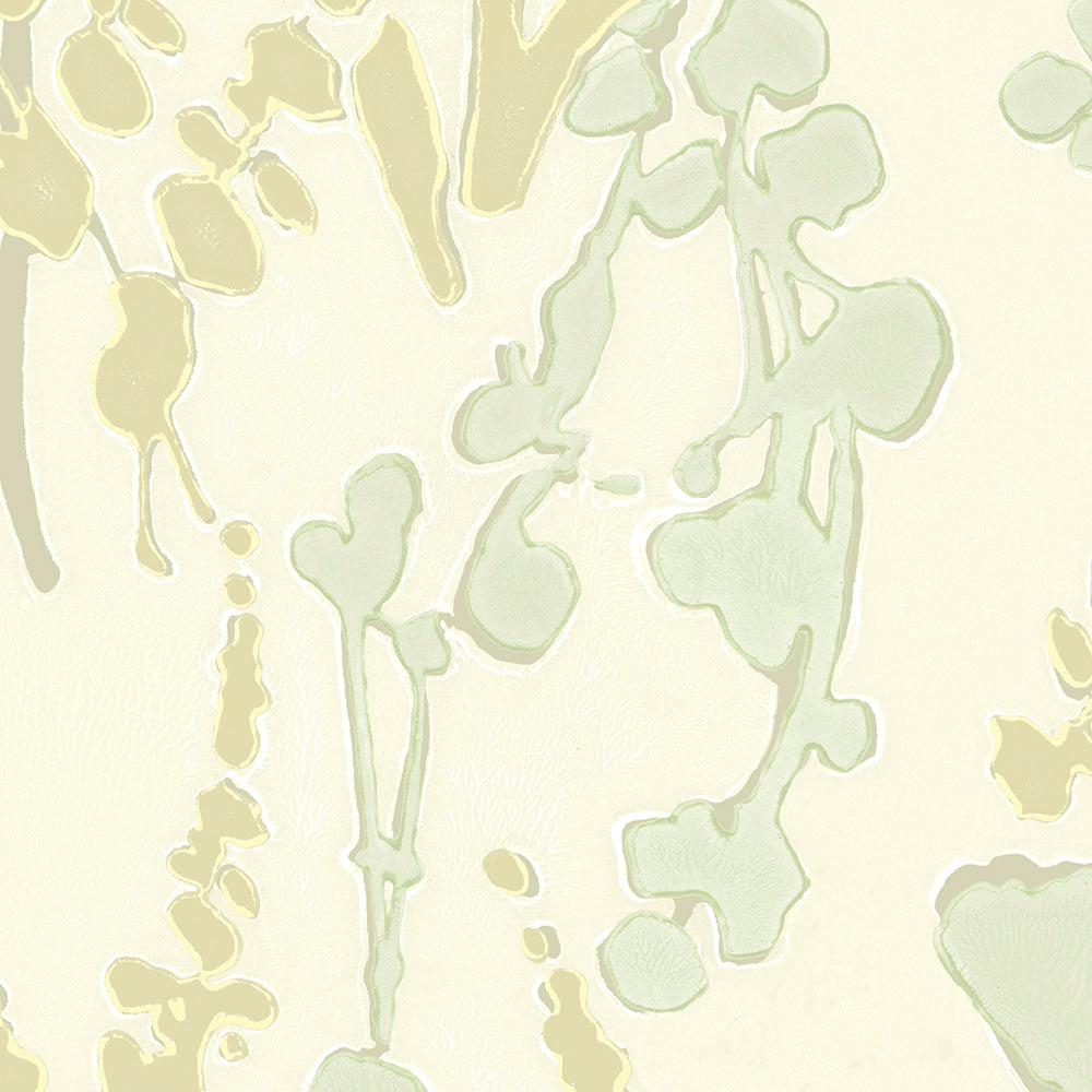 Wildflower Wallpaper by Galbraith & Paul in Willow