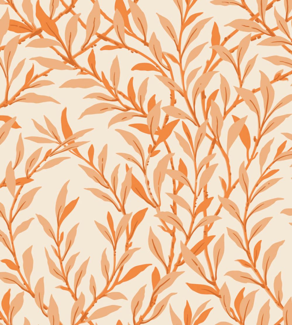 Willow Branch Wallpaper by Cole & Son Tangerine on Cream