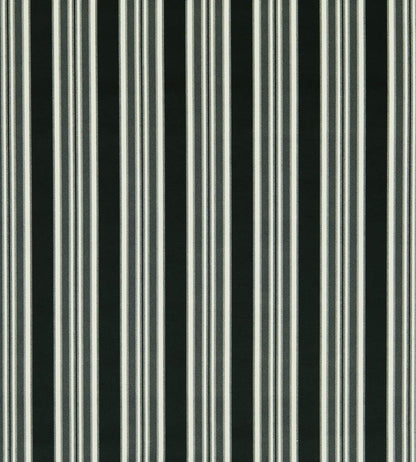 Wilmott Fabric by Clarke & Clarke Ebony