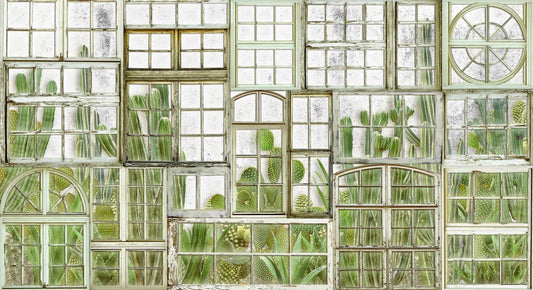 Window Flora mural by Coordonné in Fresh, flat pattern view