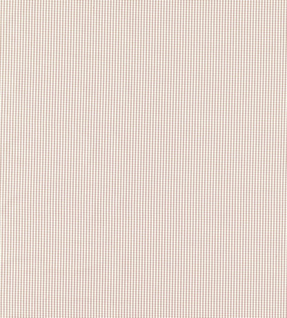 Windsor Fabric by Clarke & Clarke Blush