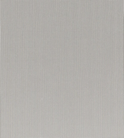 Windsor Fabric by Clarke & Clarke Charcoal