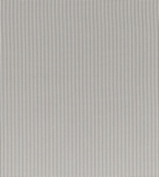 Windsor Fabric by Clarke & Clarke Charcoal