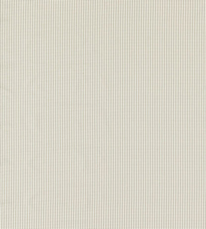 Windsor Fabric by Clarke & Clarke Dove