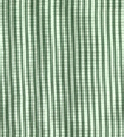 Windsor Fabric by Clarke & Clarke Racing Green