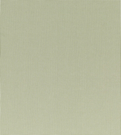 Windsor Fabric by Clarke & Clarke Sage