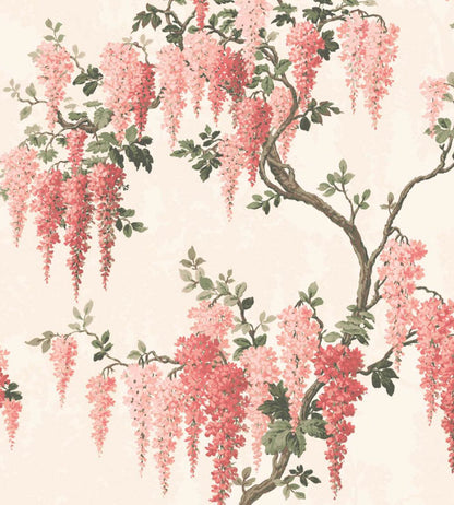 Wisteria Wallpaper by Woodchip & Magnolia Coral Floral