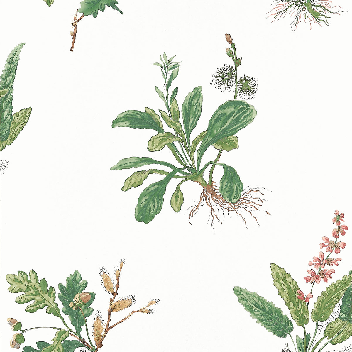 Woodland Wallpaper by Anna French in Green & Blush (AT57852)