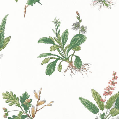 Woodland Wallpaper by Anna French in Green & Blush (AT57852)