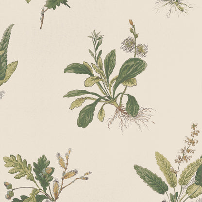 Woodland Wallpaper by Anna French in Green on Natural (AT57853)