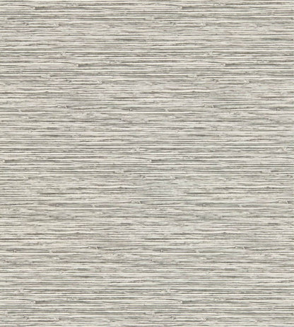 Xan Wallpaper by Clarke & Clarke Dove