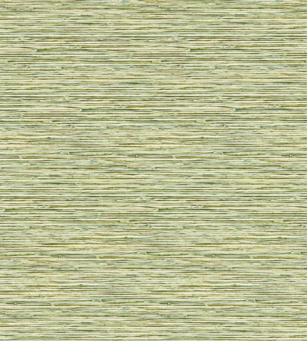 Xan Wallpaper by Clarke & Clarke Palm