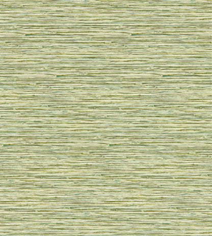 Xan Wallpaper by Clarke & Clarke Palm