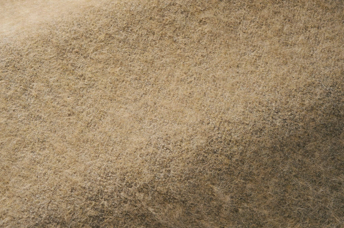 Yeti Fabric by Pierre Frey in Quinoa (F3290002)