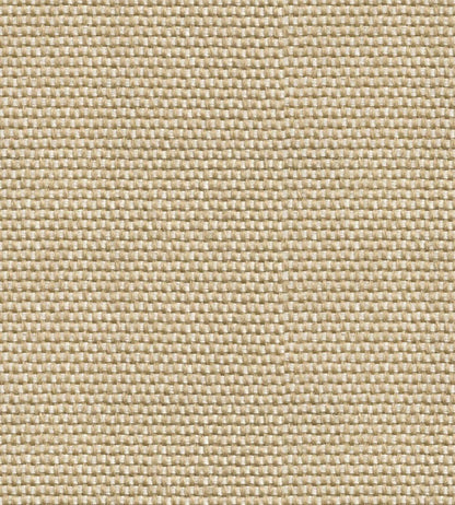 Yuca Wallpaper by Coordonne Arena