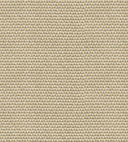 Yuca Wallpaper by Coordonne Beige