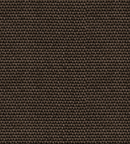 Yuca Wallpaper by Coordonne Brown