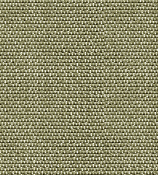 Yuca Wallpaper by Coordonne Green