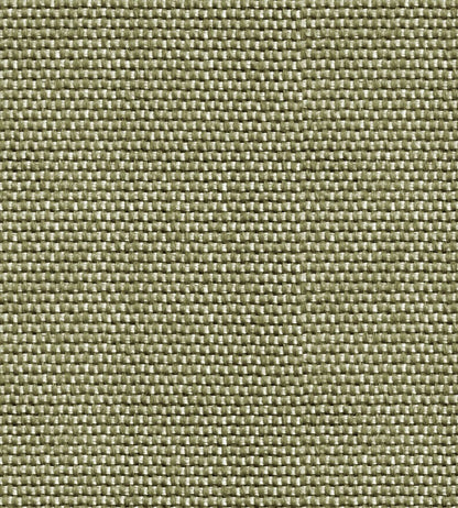 Yuca Wallpaper by Coordonne Green