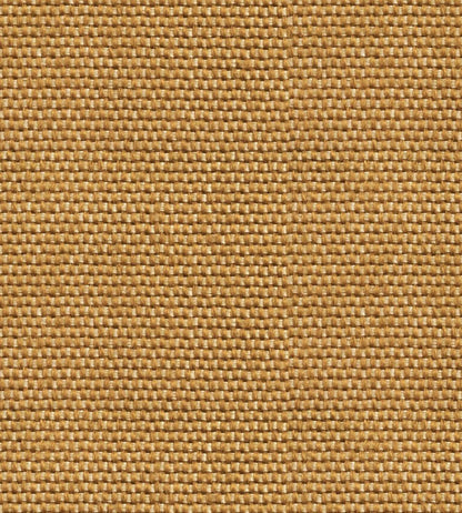 Yuca Wallpaper by Coordonne Mostaza