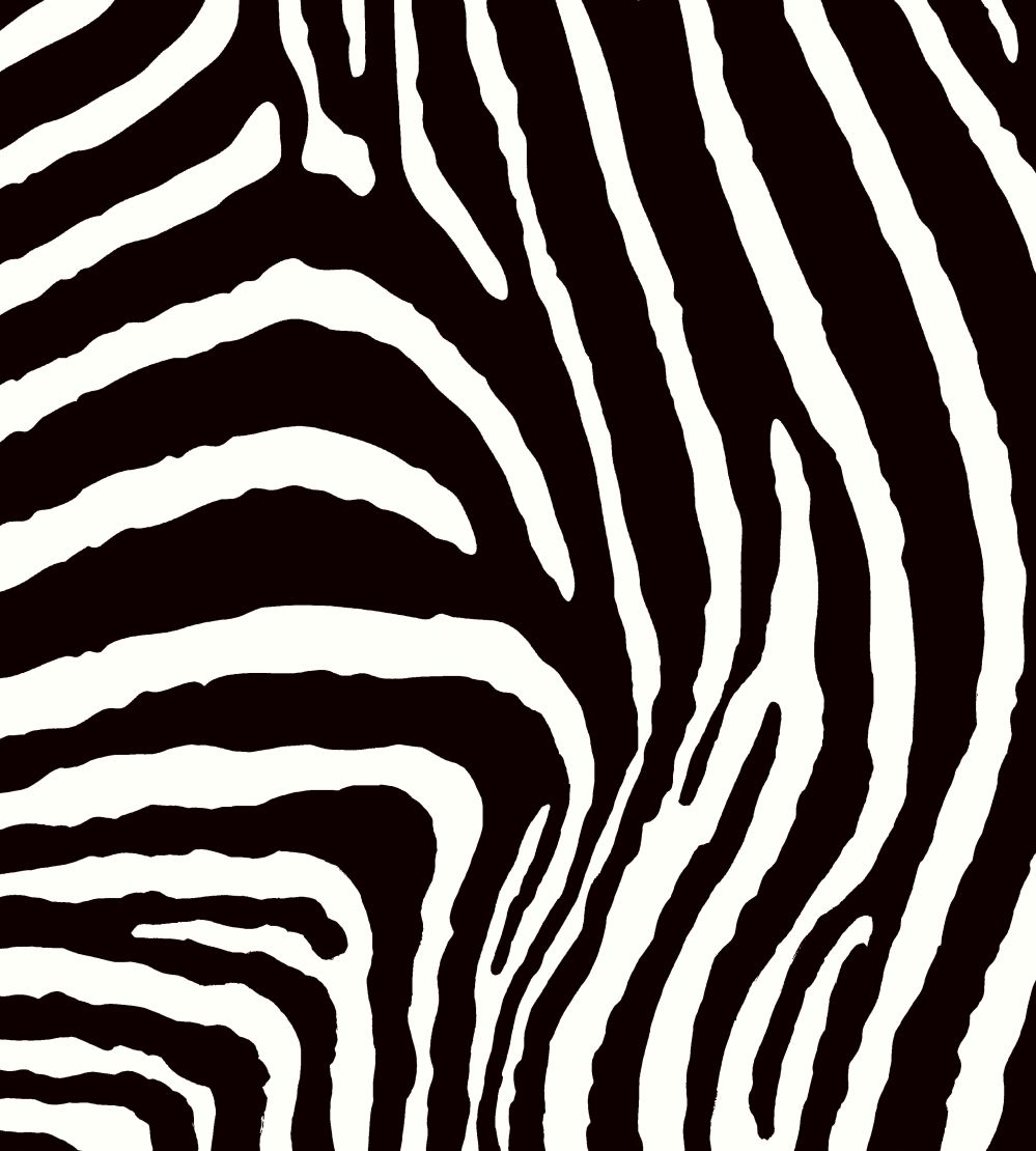 Zebra Fabric by Arley House Classic