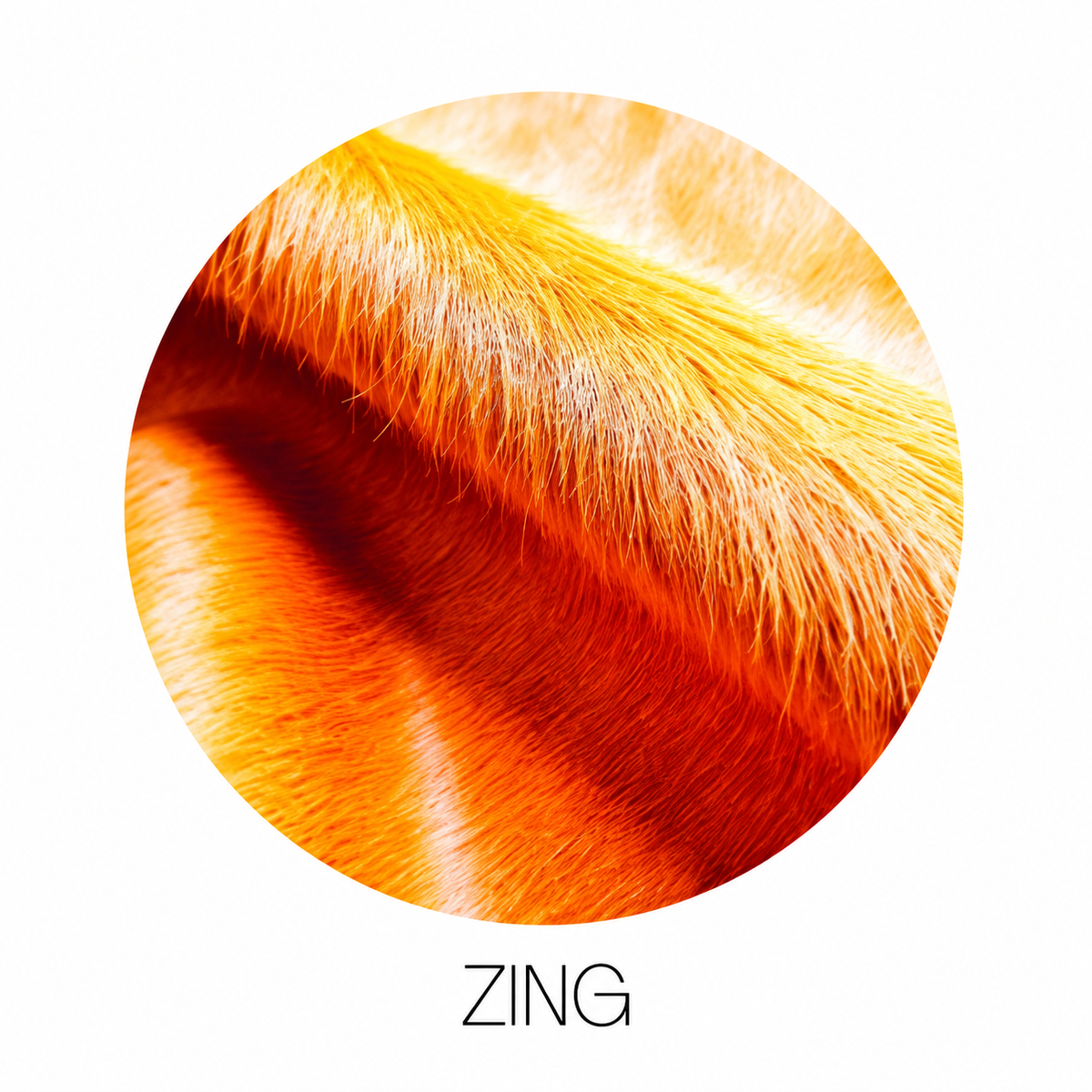 Hair on Hide Mirror by SPECTŌ