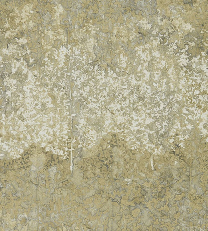 Belvoir Wallpaper by Zoffany Antique Bronze