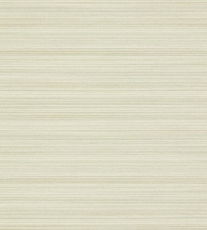Spun Silk Wallpaper by Zoffany Paris Grey
