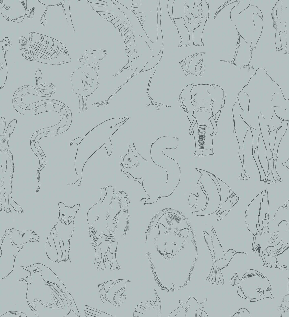Zoology wallpaper by Coordonné in Aqua, flat pattern view