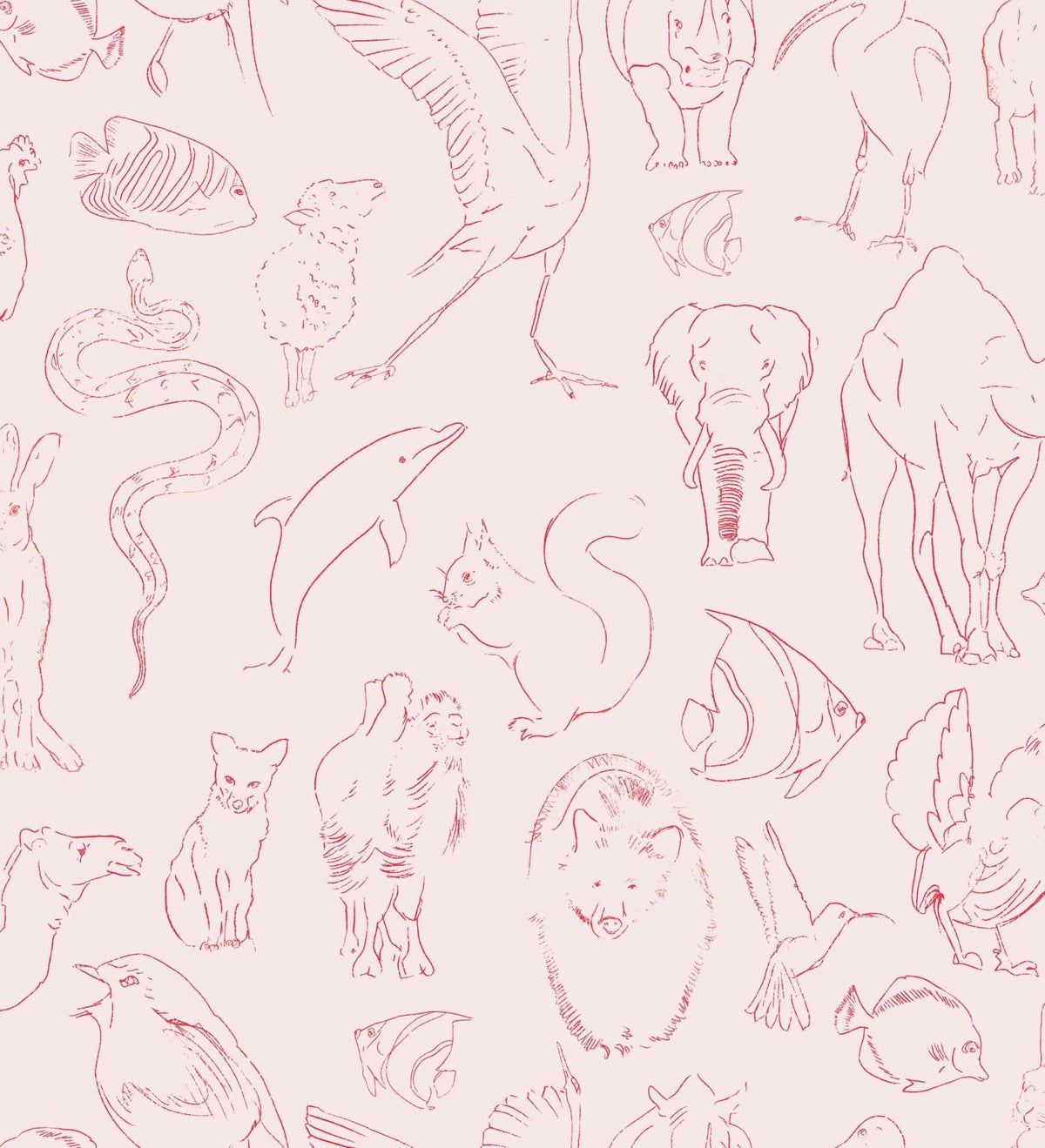 Zoology wallpaper by Coordonné in Candy, flat pattern view