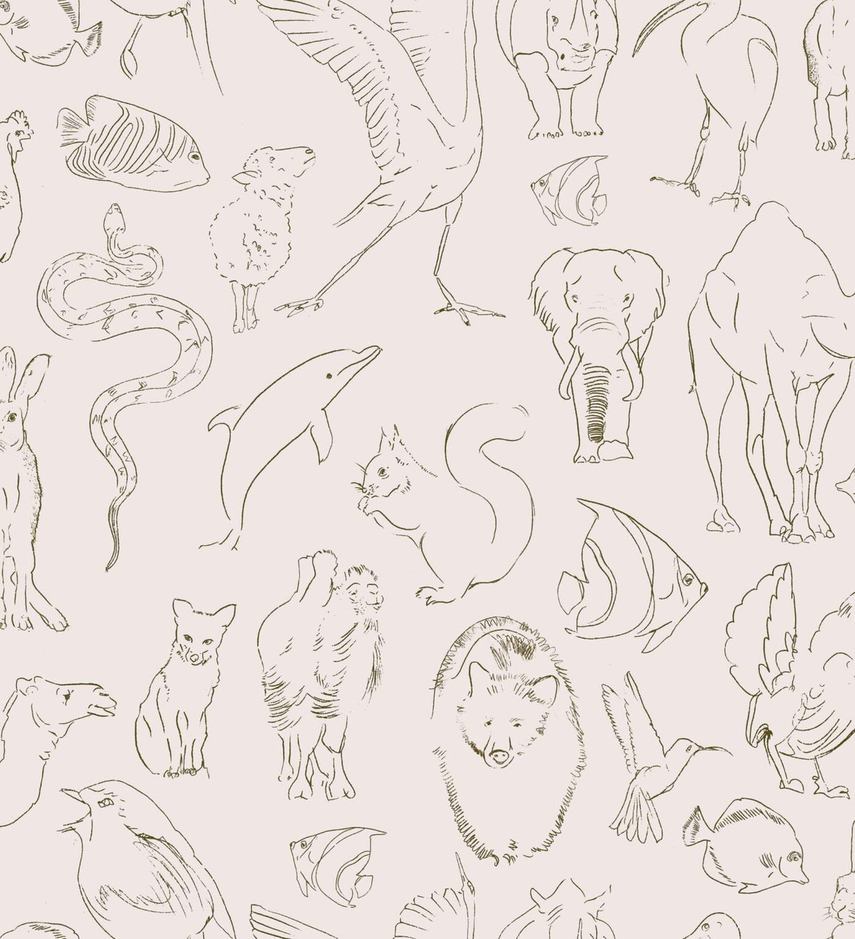 Zoology wallpaper by Coordonné in Natural, flat pattern view